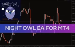 Night-Owl-EA-3 (1).webp