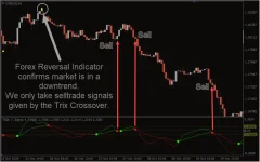 forex-reversal-indicator_1-1.webp