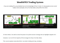 WealthFRX Trading Mastery 2024 2024-12-01 22-55-58.webp